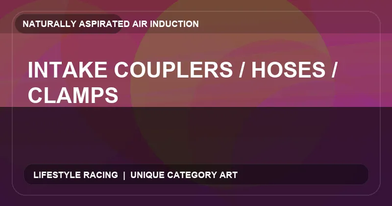Intake Couplers / Hoses / Clamps